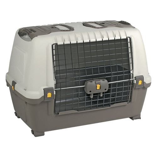 Trasportino Cm 100 X 60 X H 65 Pt3 - Artplast