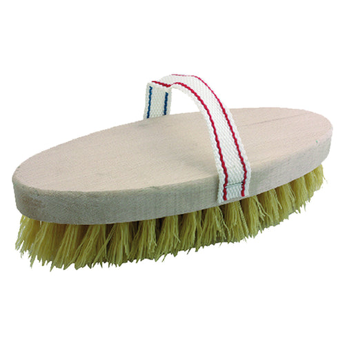 Spazzola Per Equini Mm 220 X 95