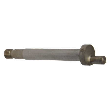 Pignone Per Tosatrice Elettrica - Lif