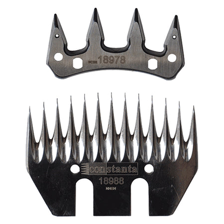 Coppia Pettini Ricambio - Albert Kerbl