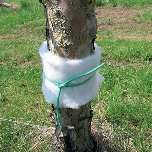 Tessuto Trappola Cattura Insetti Rinco Trap - Cm 13,5 X 20 Mt