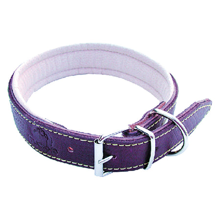 Collare Per Cane Larg. Mm 25 Lung.Cm 50 - Bricogo