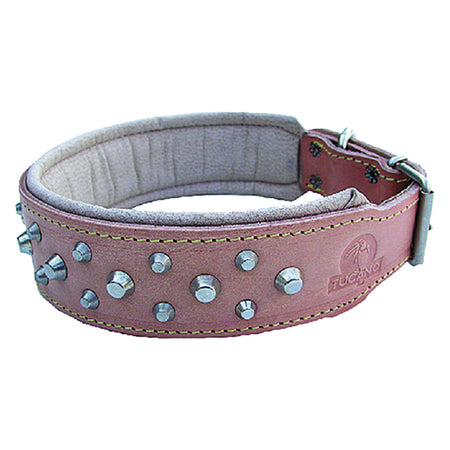 Collare Per Cane Larg. Mm 45 Lung.Cm 63