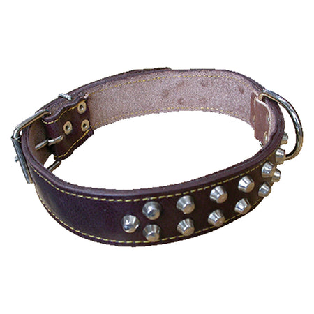 Collare Per Cane Larg. Mm 30 Lung. Cm 60 - Bricogo