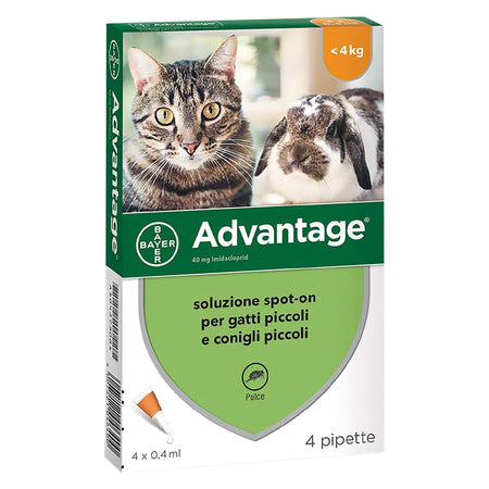 Antiparassitario 'Advantage Spot-On' > 4 Kg - 4 Pipette Ml 0,8