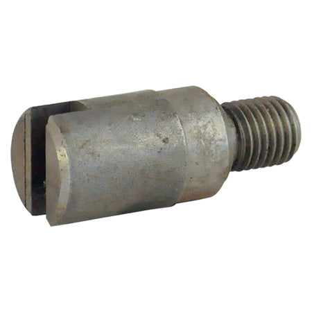 Traino Elica Per Tritacarne Per N.12 E N.22 - Leonardi