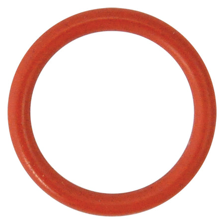 Guarnizione O-Ring Per Perno Per N 3 - Mm 18,72 X 2,62 - Reber