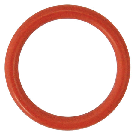 Guarnizione O-Ring Per Perno Per N 5 - Mm 29,82 X 2,62 - Reber