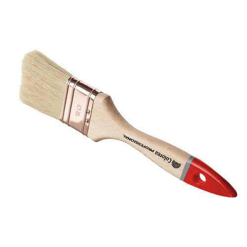 Pennellessa Professionale 'Tripla' N. 50- 12 Pezzi - Colorea
