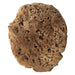 Spugna Per Effetti Decorativi Tipo Sintetico Tondo - Cm. 14 - Colorea