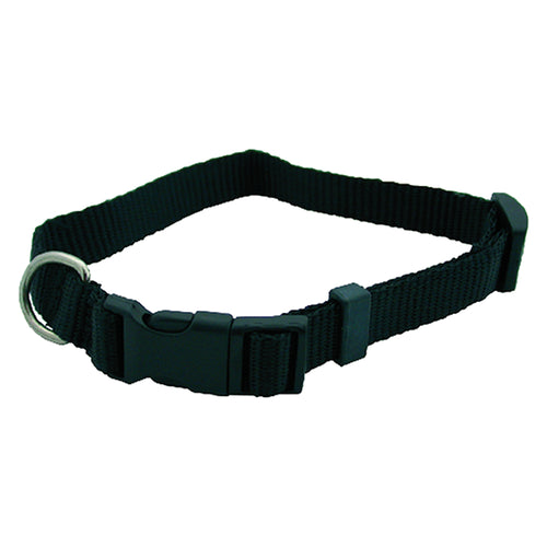 Collare Per Cane Mm 20 X Cm 50- 6 Pezzi