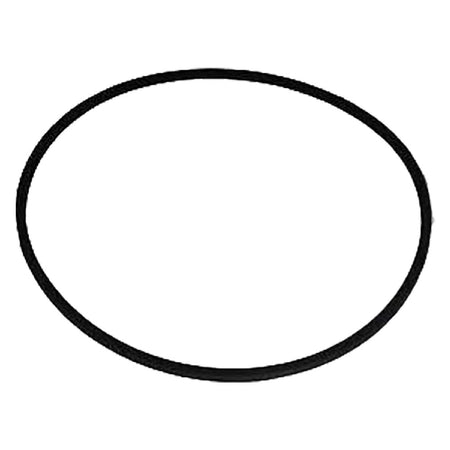 Cinghia Per Oscar' - 'Fanny 3' - Lif