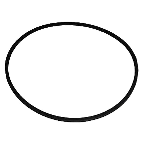 Cinghia Per Oscar' - 'Fanny 3' - Lif