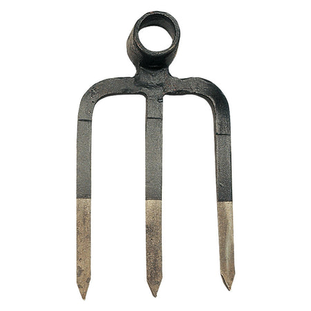 Zappa Tridente Art. '01.65.' Dente Corto Cm 23 - Angelob