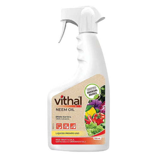 Olio Di Neem Ml. 750 - Vithal