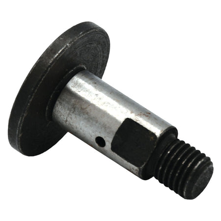 Perno Bloccaggio Lama Per Modello 'Fl-25Es' - Lif