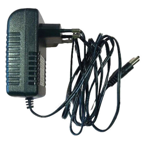 Carica Batteria A 1 Via 1Ah - 18W - Volpi
