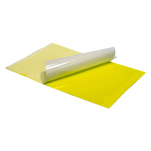 Trappola Cromotropica Adesiva Per Mosca Bianca E Moscerino Scatola 10 Pezzi