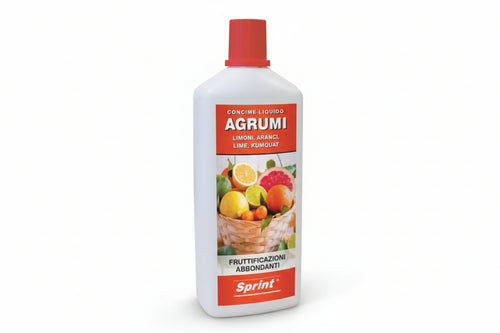 Concime Liquido Per Agrumi- - Lt.1 - 6 Pezzi Sprint