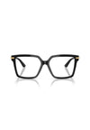 Dolce & Gabbana 3397 VISTA donna Acetato da donna