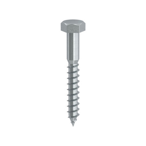 Tirafondi P/Legno D 10X100 Mm Ambrovit- 50,0 Pz
