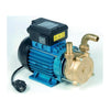 Elettropompa Travaso 0,5 Hp Tellarini 1700 L/H 20 Mm- 1,0 Pz