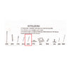 R Particolare E X Gazebo In Acciaio Smeralda Mt.3X3- 1,0 Pz