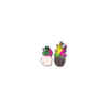 Zoov Set 2 Palline In Peluche C/Suono- 1,0 Pz