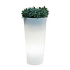 Vaso Solare Ficus Led D 29Xh59 Cm Rgb C/Telecom- 1,0 Pz