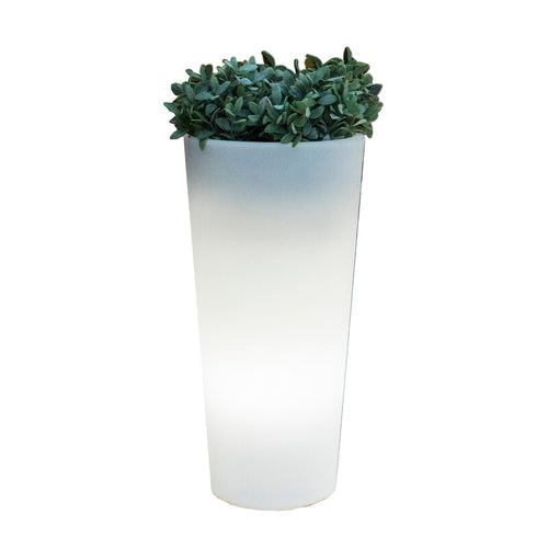 Vaso Solare Ficus Led D 29Xh59 Cm Rgb C/Telecom- 1,0 Pz