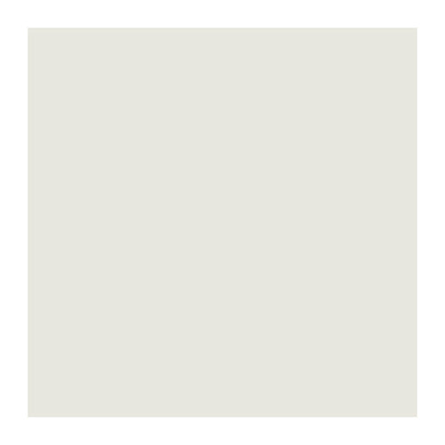 Doga Rivestimento Pvc 260X10X1 Cm Bianco- Forte- 10,0 Pz