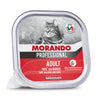 Cibo Gatto Morando Vsc 100 G Pate Manzo- 32,0 Pz