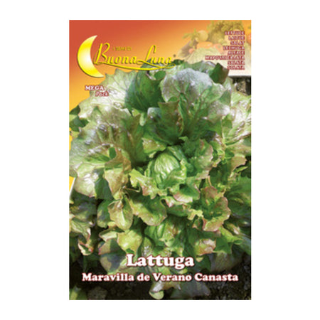 Semi Orto Lattuga Canasta- Hortus Sementi- 10,0 Pz