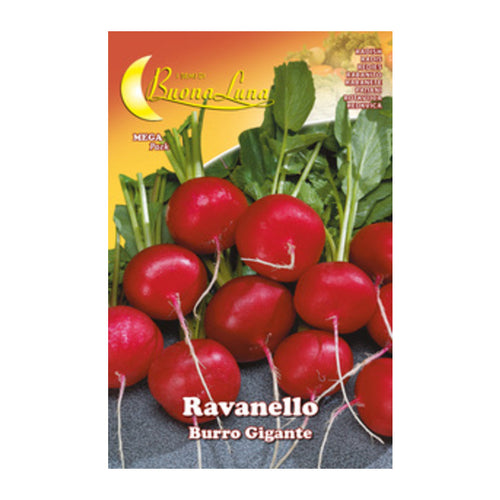 Semi Orto Ravanello Gigante- Hortus Sementi- 10,0 Pz
