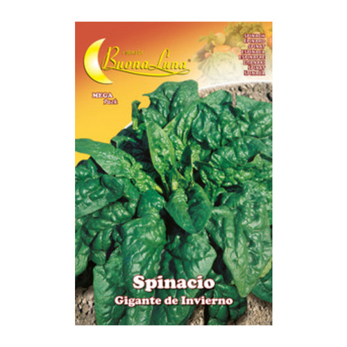 Semi Orto Spinaci Giganti- Hortus Sementi- 10,0 Pz
