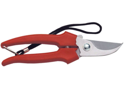 Forbice Raccolta A Mezzaluna- - Cm.19 - 35031 - 12 Blister Ausonia