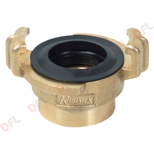 Raccordo Rapido Femmina 1 - Ribimex