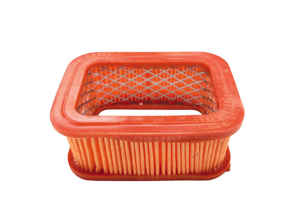 Filtro Aria Per Motosega Cc.45/52 A Partire Da Anno Lotto Al 202107 Excel