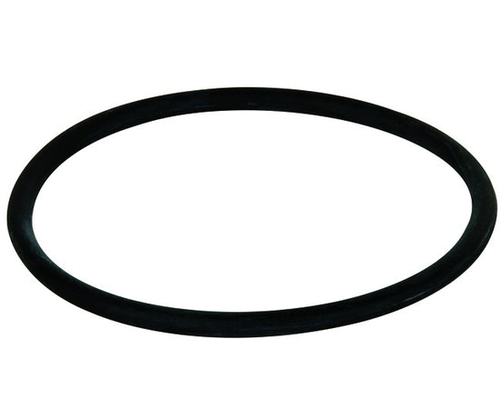 O-Ring Di Tenuta Per Filtri Mignon Atlas Filtri Italia Srl