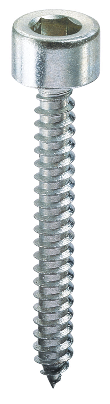Ambrovit Vite Autofilettante Tc Con Esagono Incassato Mm. 5,5X32 5.00 Centinaia