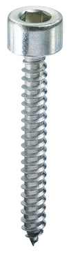 Ambrovit Vite Autofilettante Tc Con Esagono Incassato Mm. 5,5X38 2.00 Centinaia