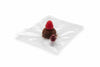 Bag In Box Sacca Con Tappo- - Per Cartone Lt.3 Ns. Cod.476058 - 10 Pezzi Maffei