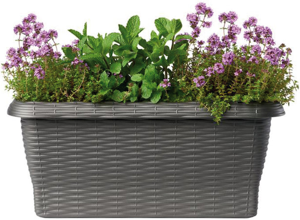 Bama Fioriera Rettangolare Paglia Normal Col. Antracite Cm. 60X20X17,5 H