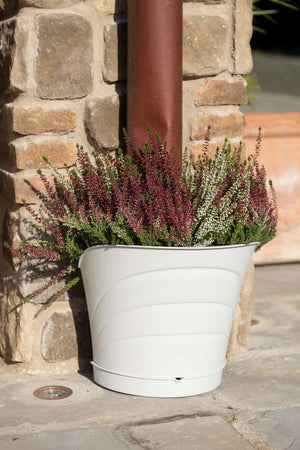 Bama Vaso Tulipano Set 2 Vasi Col. Bianco Cm. 34,5X19X30 H