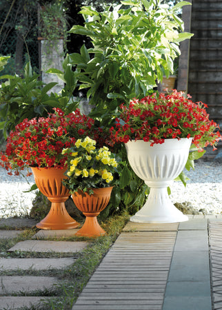 Bama Vaso A Calice Alba Col. Terracotta Ø Cm. 43X46 H