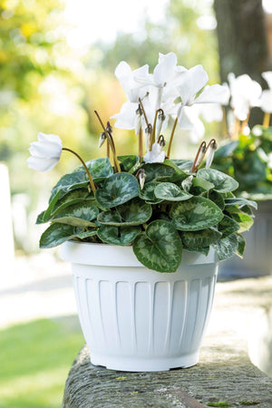 Bama Vaso Tondo Terra Col. Bianco Ø Cm. 35X26 H