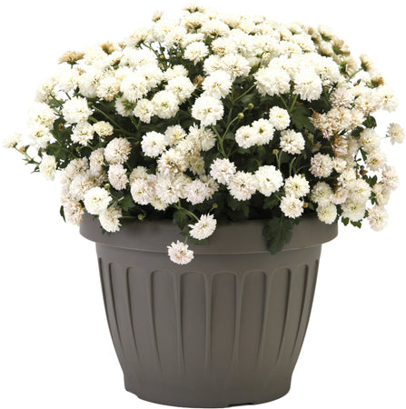 Bama Vaso Tondo Terra Col. Cappuccino Ø Cm. 35X26 H