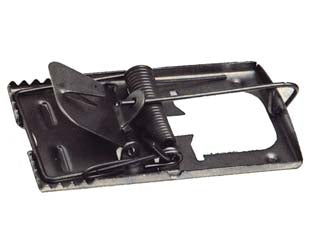 Trappole Per Topi In Acciaio- - Piccole - 12 Pezzi Il Campo