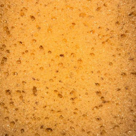 Frattone Spugna Pulizia Piastrelle 875 Ancora - Base Pu Spugna Marina H.Mm 40 Mm 250X130- 2 Pezzi