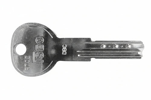 Chiave Grezza Per Cilindri R700 020919.6- - (020919.6) - 5 Pezzi Iseo